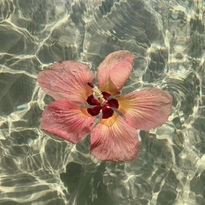 hana